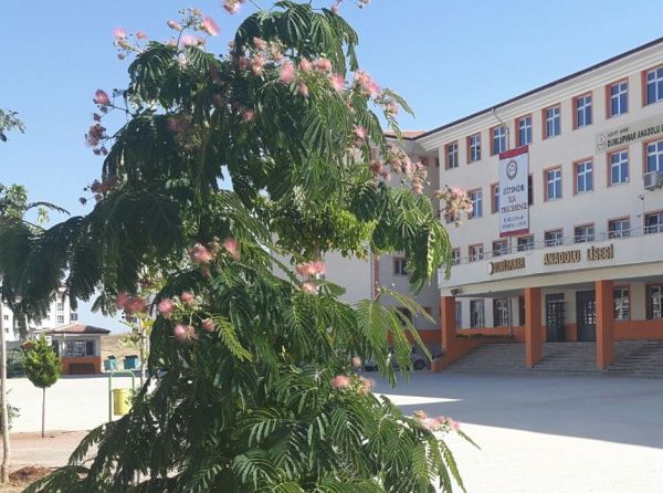 Dumlupınar Anadolu Lisesi Fotoğrafı